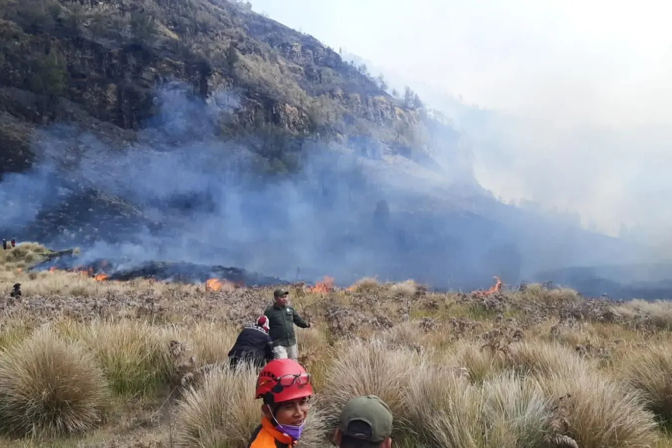 Incendios forestales en Indonesia dejan más de 100 mil hectáreas afectadas