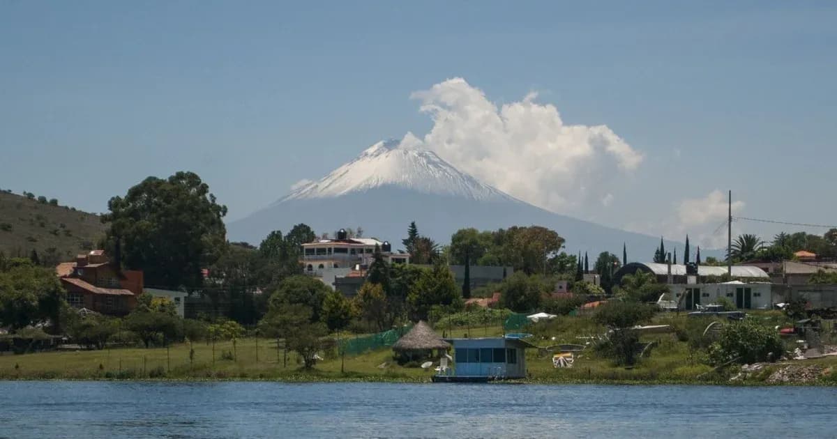 Alertan por avistamiento de cocodrilo en la presa de Valsequillo en Puebla